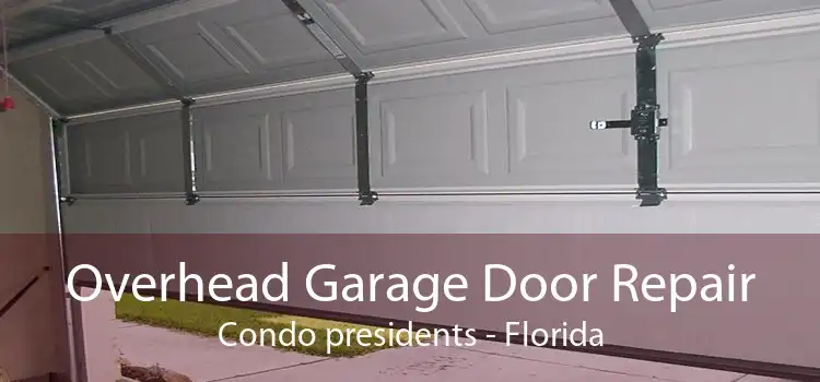 Overhead Garage Door Repair Condo presidents - Florida