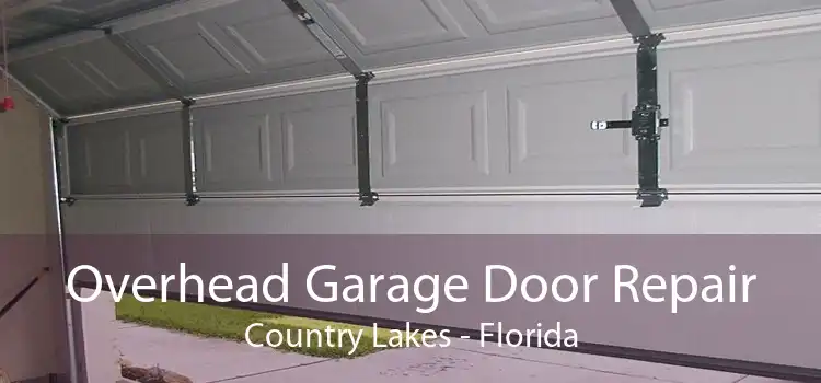 Overhead Garage Door Repair Country Lakes - Florida