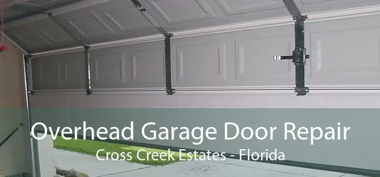 Overhead Garage Door Repair Cross Creek Estates - Florida