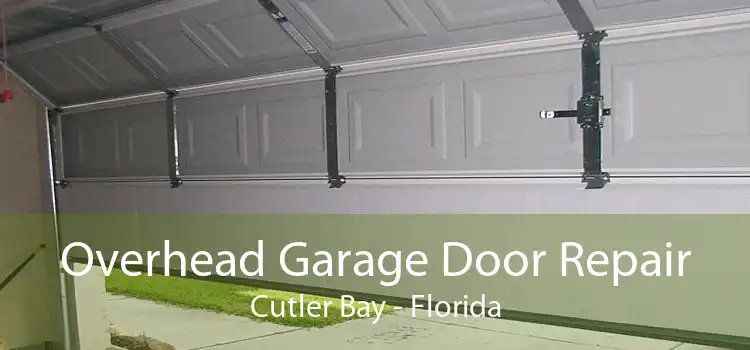 Overhead Garage Door Repair Cutler Bay - Florida