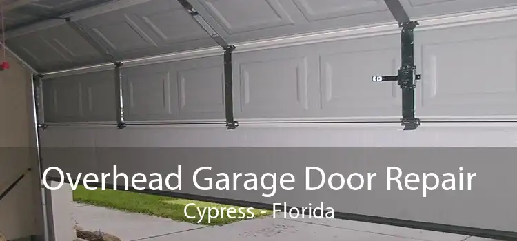 Overhead Garage Door Repair Cypress - Florida