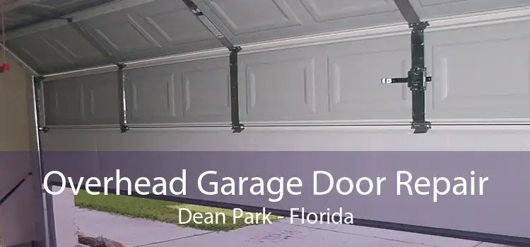 Overhead Garage Door Repair Dean Park - Florida