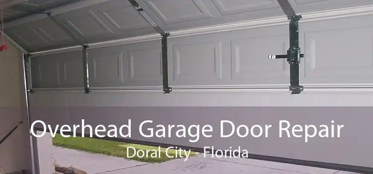 Overhead Garage Door Repair Doral City - Florida