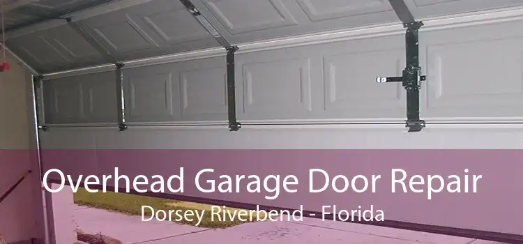 Overhead Garage Door Repair Dorsey Riverbend - Florida