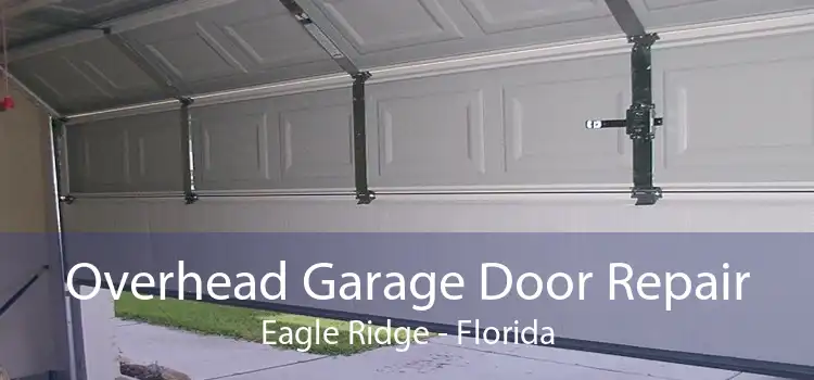 Overhead Garage Door Repair Eagle Ridge - Florida