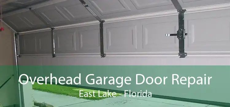 Overhead Garage Door Repair East Lake - Florida