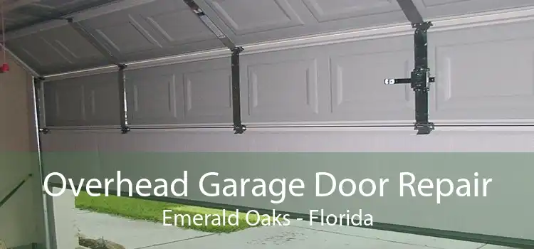 Overhead Garage Door Repair Emerald Oaks - Florida