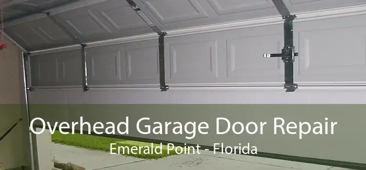 Overhead Garage Door Repair Emerald Point - Florida