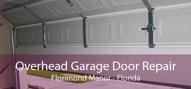 Overhead Garage Door Repair Florimond Manor - Florida