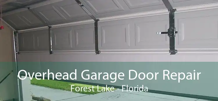 Overhead Garage Door Repair Forest Lake - Florida