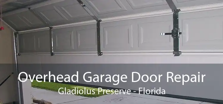 Overhead Garage Door Repair Gladiolus Preserve - Florida