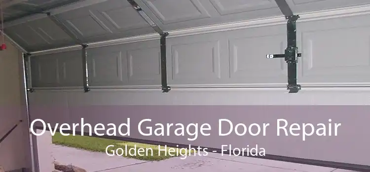 Overhead Garage Door Repair Golden Heights - Florida