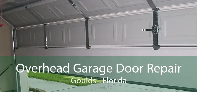 Overhead Garage Door Repair Goulds - Florida