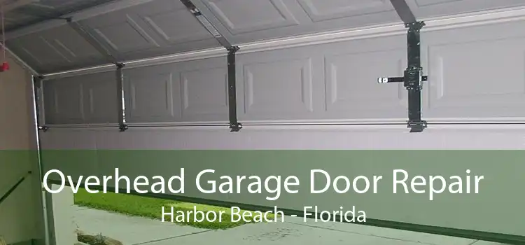 Overhead Garage Door Repair Harbor Beach - Florida