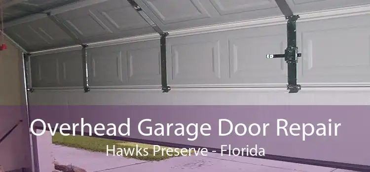 Overhead Garage Door Repair Hawks Preserve - Florida