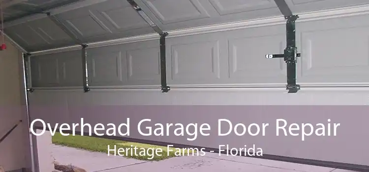 Overhead Garage Door Repair Heritage Farms - Florida