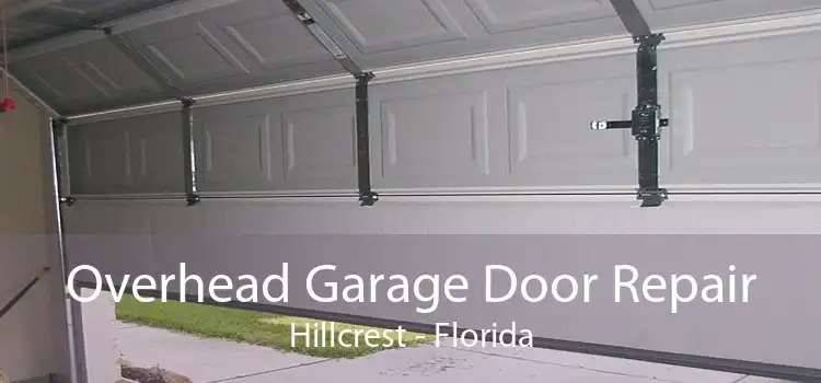 Overhead Garage Door Repair Hillcrest - Florida