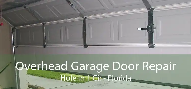 Overhead Garage Door Repair Hole In 1 Cir - Florida