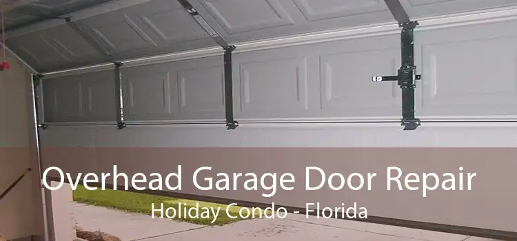 Overhead Garage Door Repair Holiday Condo - Florida