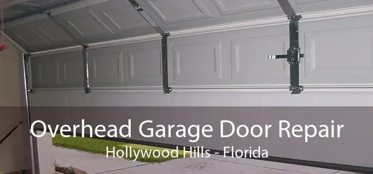 Overhead Garage Door Repair Hollywood Hills - Florida