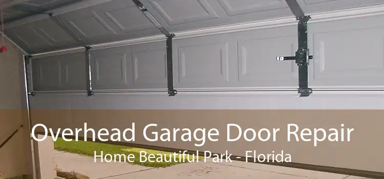 Overhead Garage Door Repair Home Beautiful Park - Florida