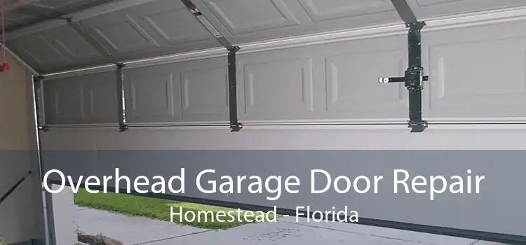 Overhead Garage Door Repair Homestead - Florida