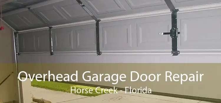 Overhead Garage Door Repair Horse Creek - Florida