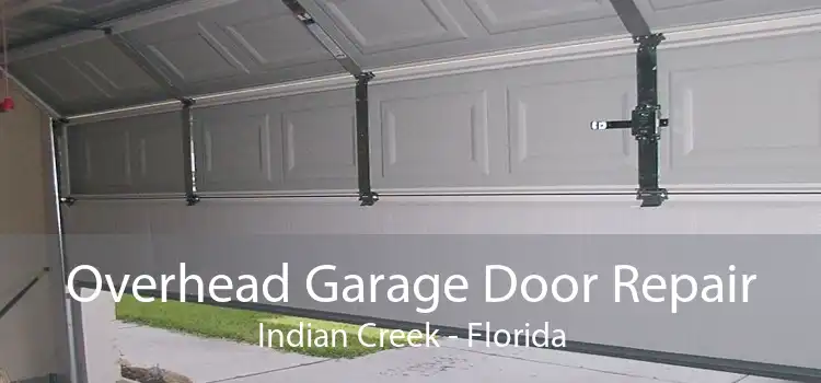 Overhead Garage Door Repair Indian Creek - Florida