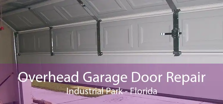 Overhead Garage Door Repair Industrial Park - Florida