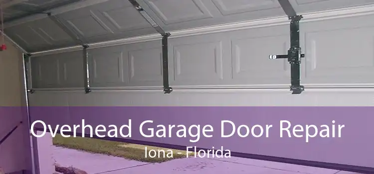 Overhead Garage Door Repair Iona - Florida