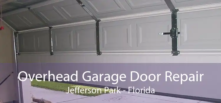 Overhead Garage Door Repair Jefferson Park - Florida