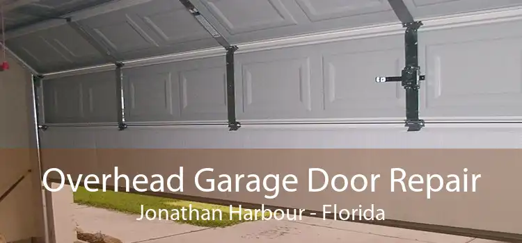 Overhead Garage Door Repair Jonathan Harbour - Florida