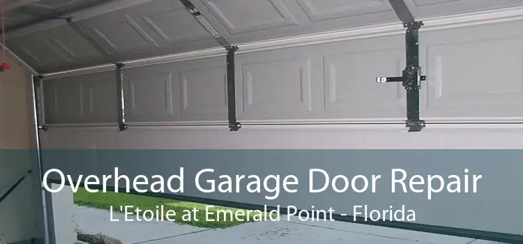 Overhead Garage Door Repair L'Etoile at Emerald Point - Florida