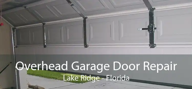 Overhead Garage Door Repair Lake Ridge - Florida