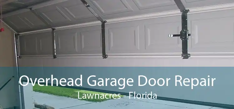 Overhead Garage Door Repair Lawnacres - Florida