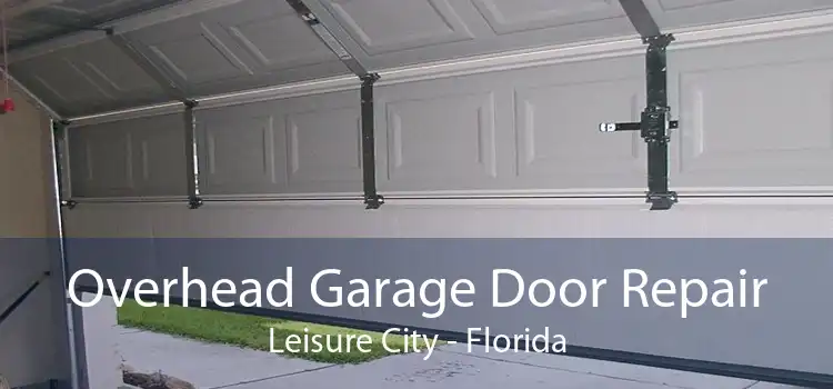 Overhead Garage Door Repair Leisure City - Florida