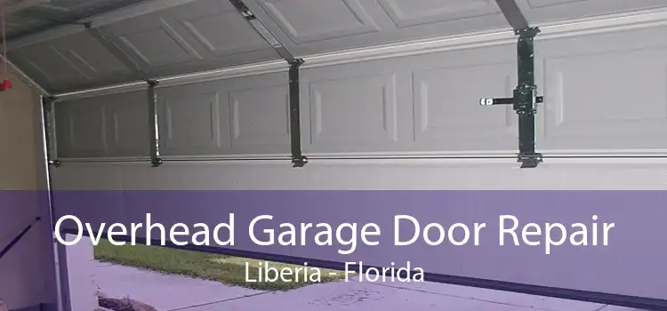 Overhead Garage Door Repair Liberia - Florida