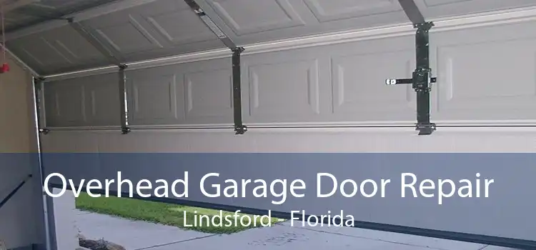 Overhead Garage Door Repair Lindsford - Florida