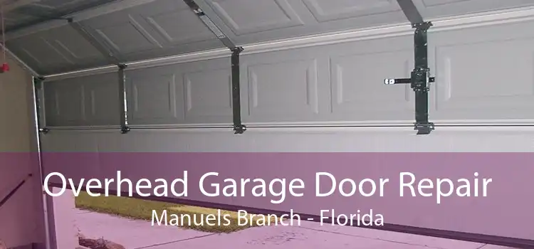 Overhead Garage Door Repair Manuels Branch - Florida