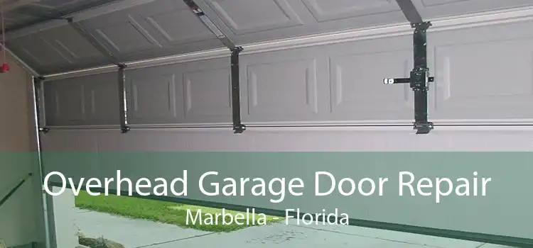 Overhead Garage Door Repair Marbella - Florida