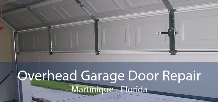 Overhead Garage Door Repair Martinique - Florida