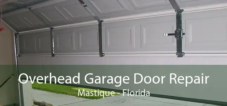 Overhead Garage Door Repair Mastique - Florida