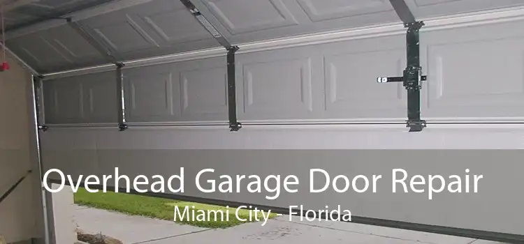 Overhead Garage Door Repair Miami City - Florida