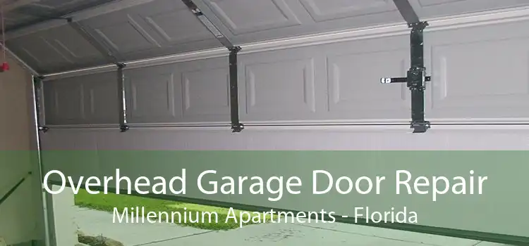 Overhead Garage Door Repair Millennium Apartments - Florida