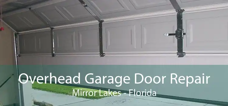 Overhead Garage Door Repair Mirror Lakes - Florida