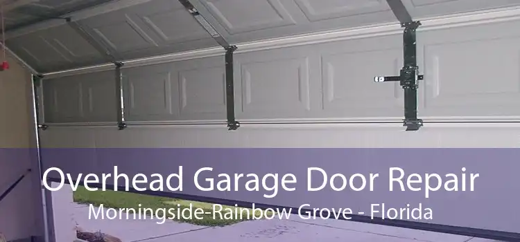 Overhead Garage Door Repair Morningside-Rainbow Grove - Florida