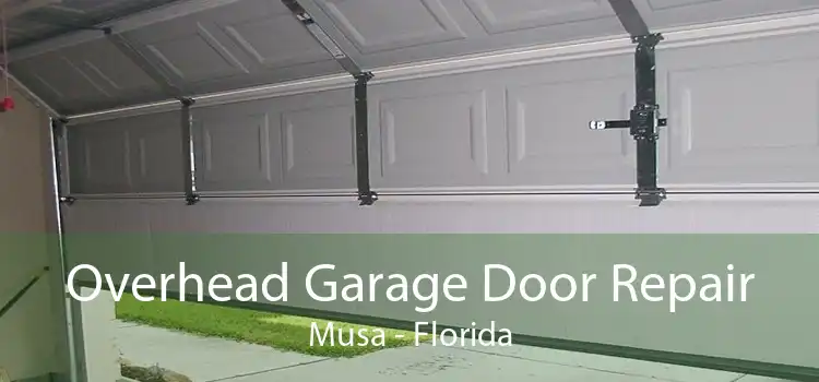 Overhead Garage Door Repair Musa - Florida