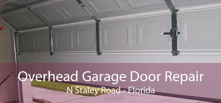 Overhead Garage Door Repair N Staley Road - Florida