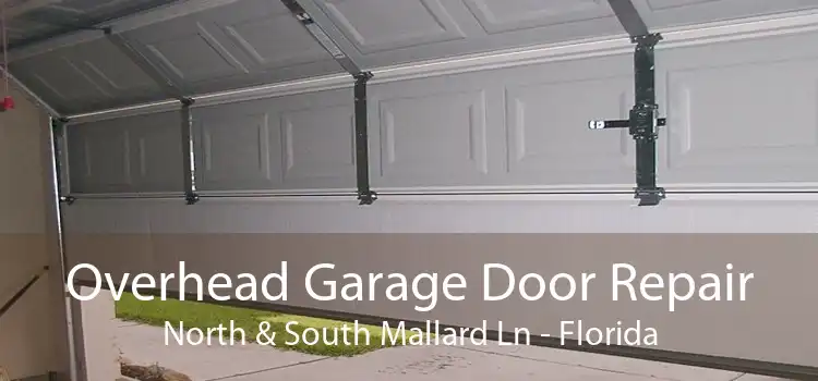 Overhead Garage Door Repair North & South Mallard Ln - Florida