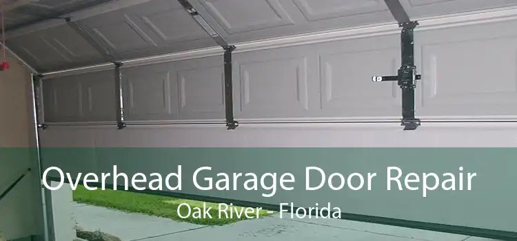 Overhead Garage Door Repair Oak River - Florida